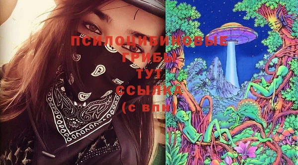 крисы Алексеевка