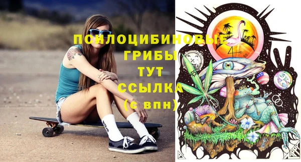 МДПВ Алексин